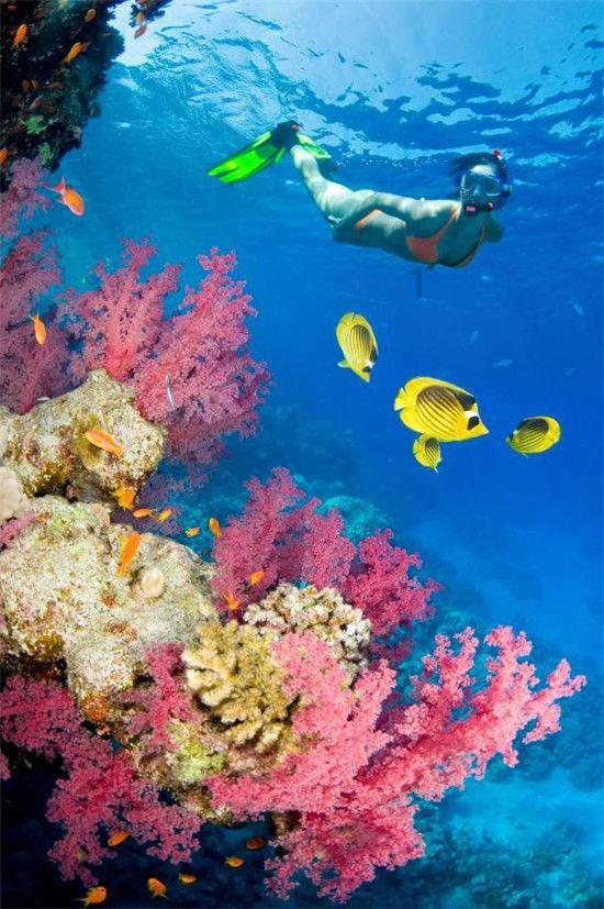新水浒传:公孙胜想拉宋江入伙,给他讲了一个故事,星主是宋江-全球最热门的红迪网平台
